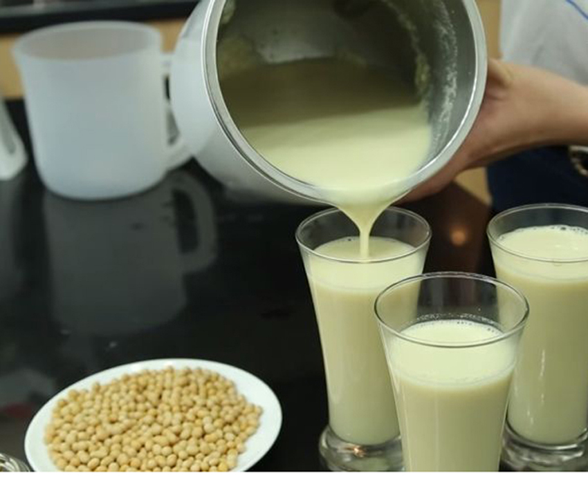 Máy làm sữa đậu nành đa năng Perfect PF-B311