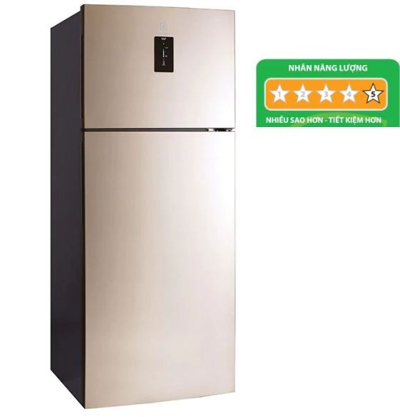 Tủ lạnh Inverter Electrolux ETB-4602GA