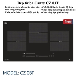 Bếp từ ba Canzy CZ 03T