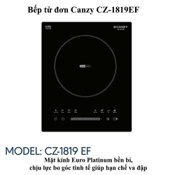 Bếp từ đơn Canzy CZ-1819EF