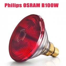 Bóng đèn hồng ngoại Philips OSRAM B100W