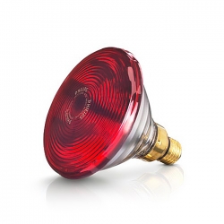 Bóng đèn hồng ngoại Beurer Philips B150W
